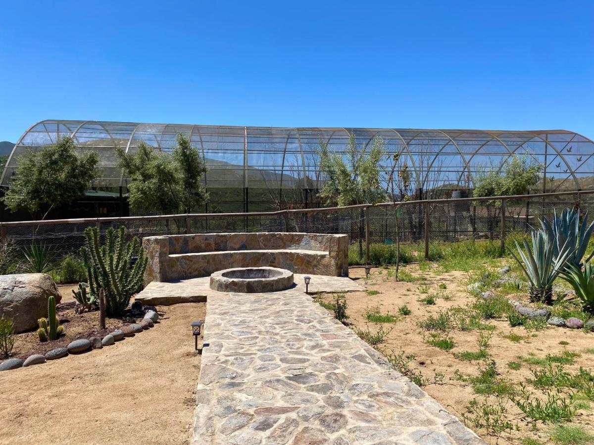 Coquenas Del Valle Valle de Guadalupe Bagian luar foto