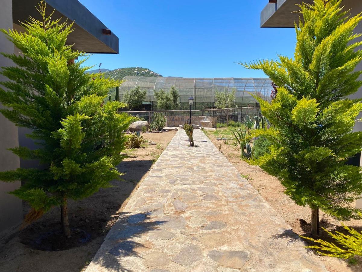 Coquenas Del Valle Valle de Guadalupe Bagian luar foto